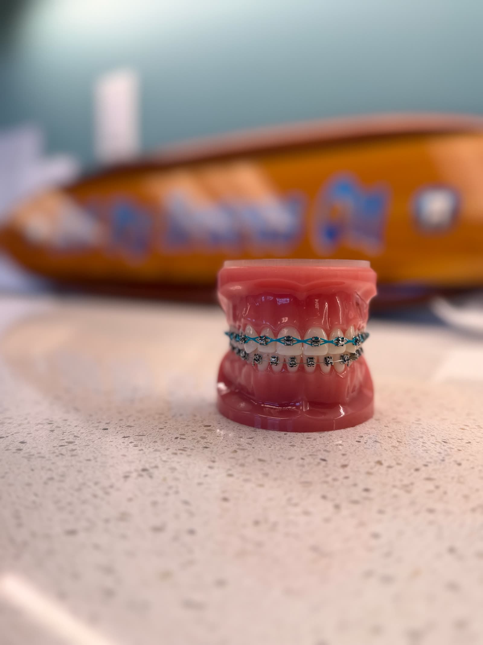 A demonstration model showing fixed braces.