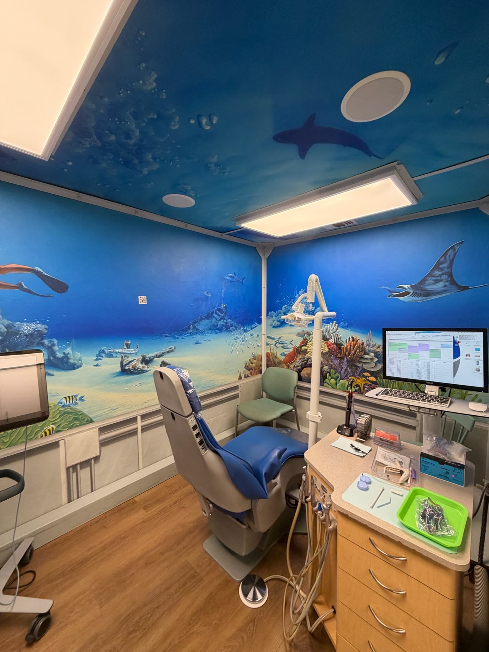 The children’s room at the San Luis Obispo office, painted with an underwater scene and a shark.